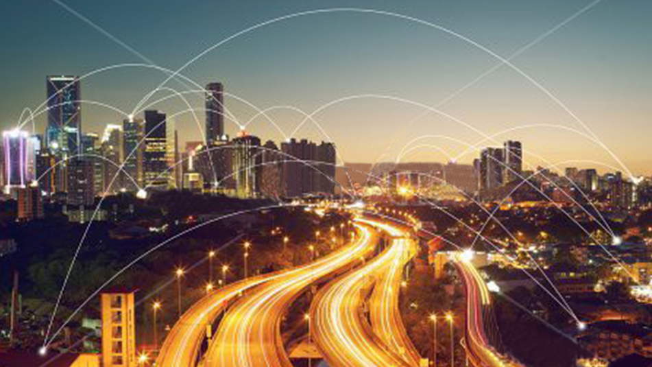 树时光绿茶品牌全案策划设计