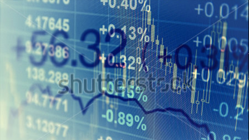 金晔食品品牌全案设计