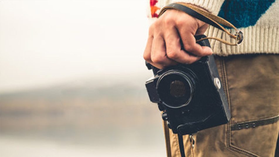 果实设计部分LOGO合集